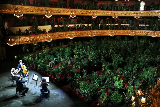 A string quartet performing Puccini for 2,292 plants at Barcelona's Liceu opera house on June 22, 2020 (by Pau Cortina)
